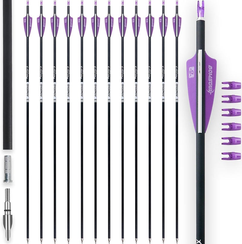 BOWSOUL 31Inch Carbon Arrows for Target Practice Hunting Arrow with Removable Tips for Compound & Recurve Bow(Pack of 12) - Image 1